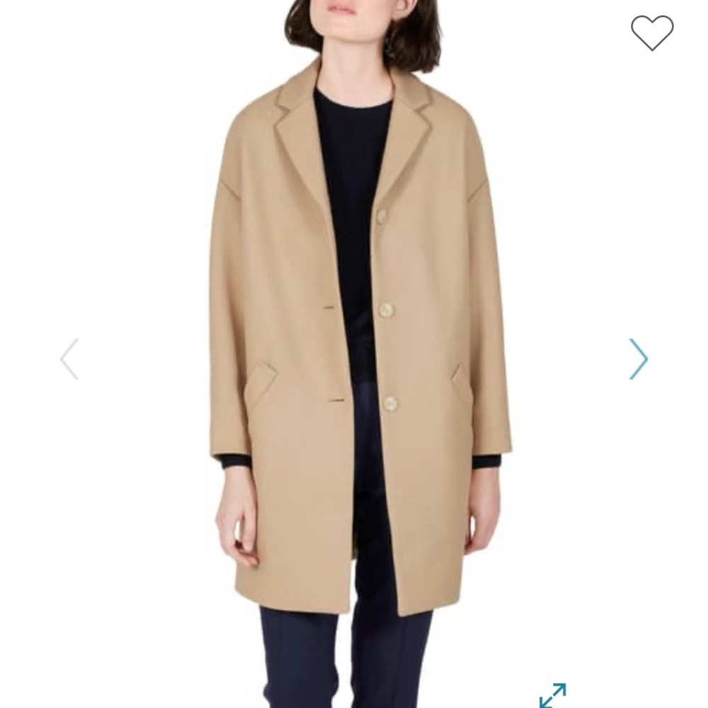 Everlane Cocoon Coat